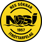 NSI logo