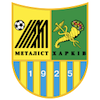 Metalist logo