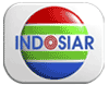 Indosiar logo