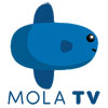 mola.tv logo