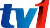 RTM 1 logo