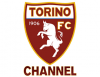 Torino Channel logo
