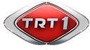 TRT 1 logo