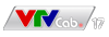 VCTV17 logo